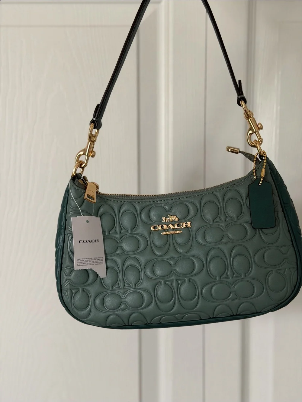 Coach Teri Shoulder Bag Sage & Dark Turquoise (CY674) Blocked Signature Leather